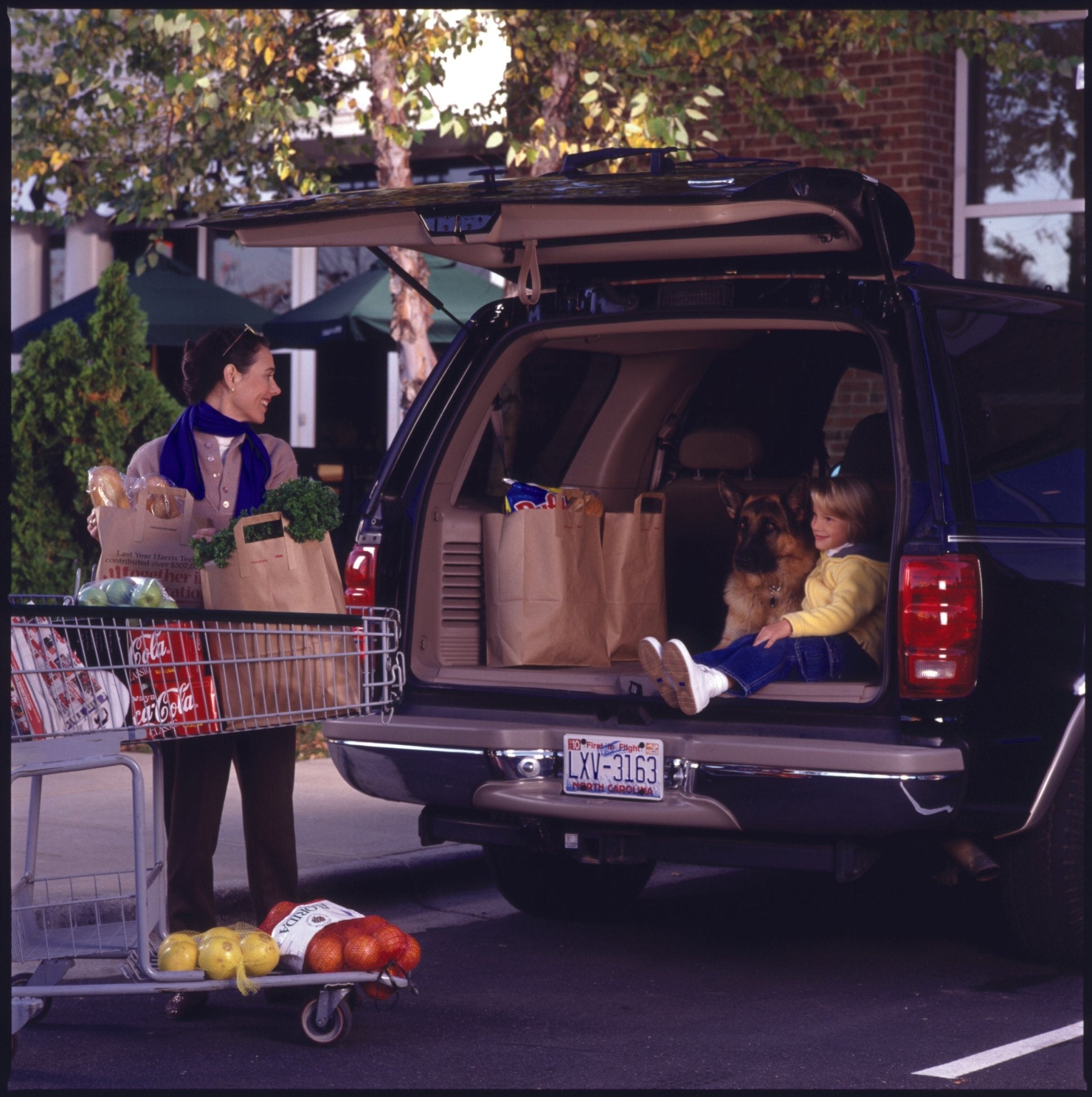 International Travel With Personal Protection Dogs Secrets Revealed