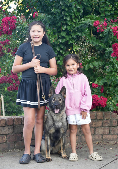 Becky - Trained Adult Female - protectiondog.com