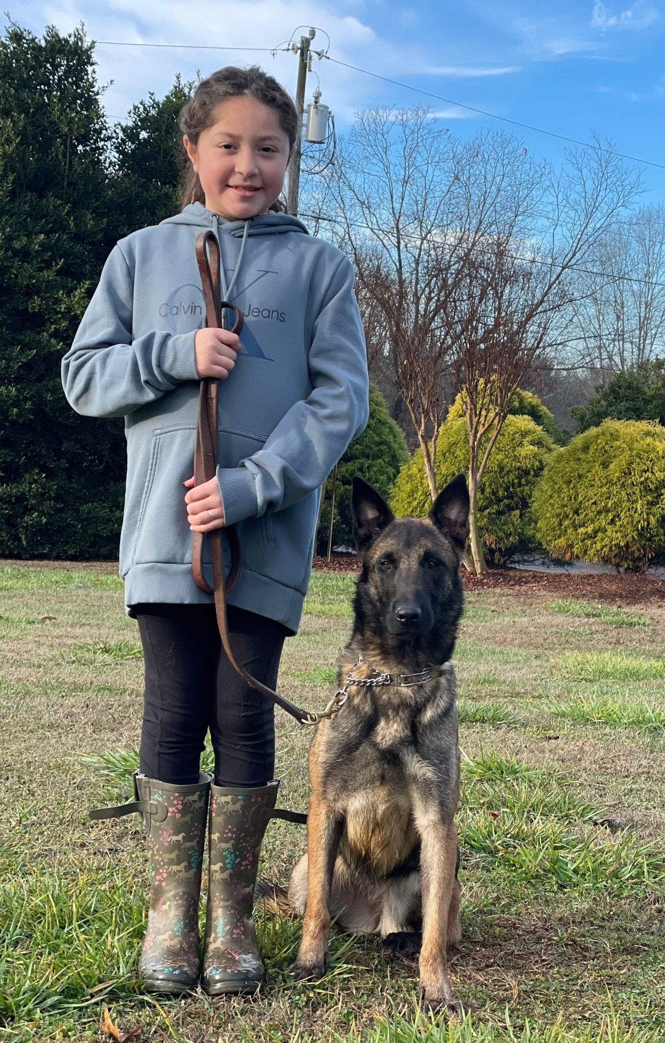 Brixi - Trained Adult Female Belgian Malinois - protectiondog.com