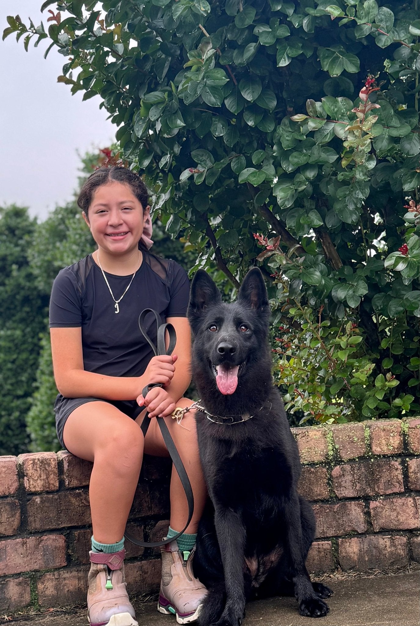 Kandi - Trained Adult Female - protectiondog.com