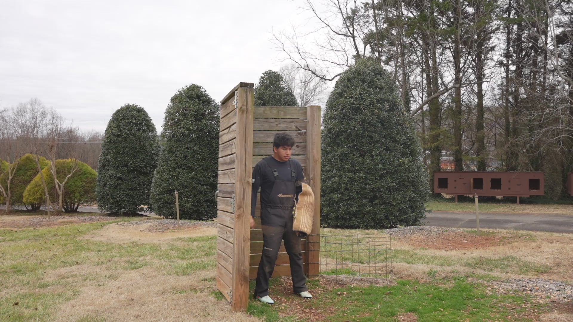 Django - Trained Adult Male German Shepherd