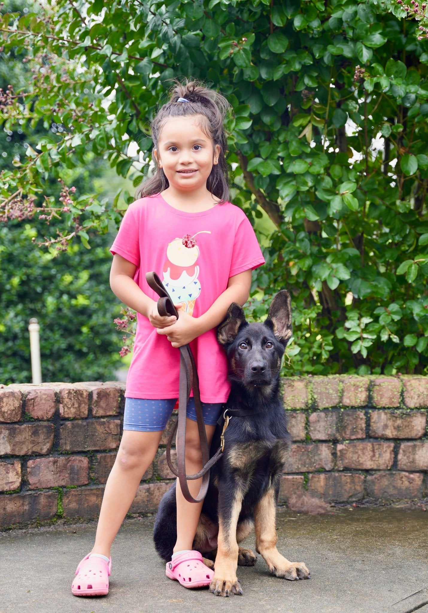 Z Males Trained Adolescents - protectiondog.com